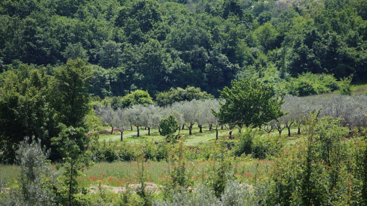 Casa Conte Istria Vila Kanfanar Exterior foto